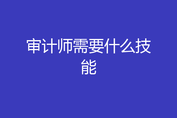 审计师需要什么技能