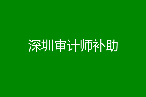 深圳审计师补助