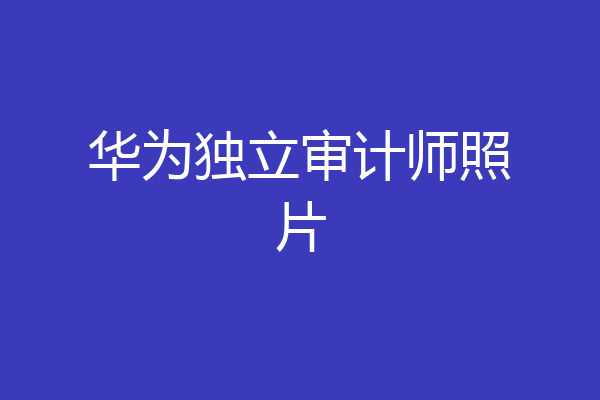华为独立审计师照片
