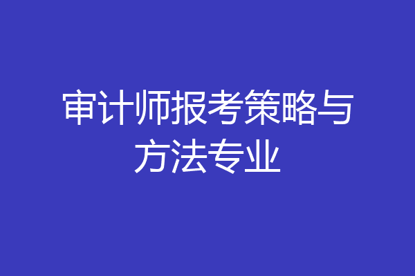 审计师报考策略与方法专业