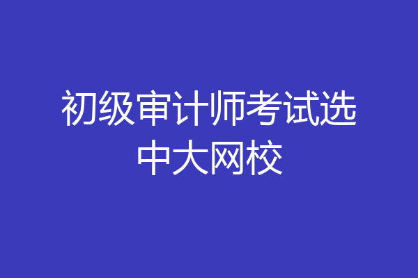 初级审计师考试选中大网校