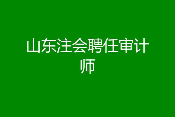 山东注会聘任审计师
