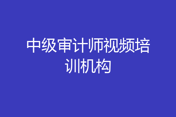 中级审计师视频培训机构