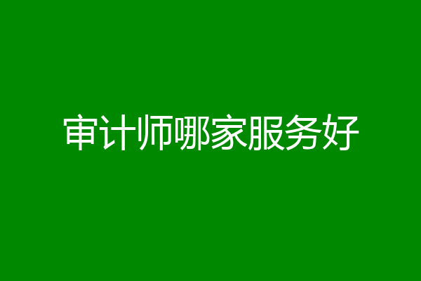 审计师哪家服务好