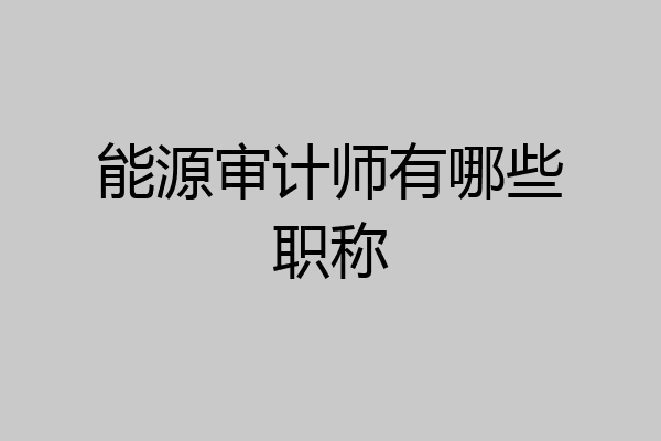 能源审计师有哪些职称