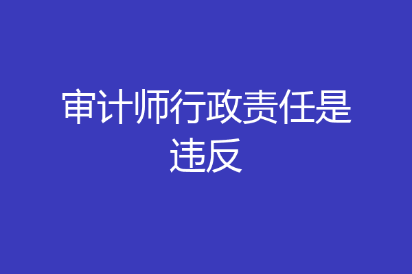 审计师行政责任是违反