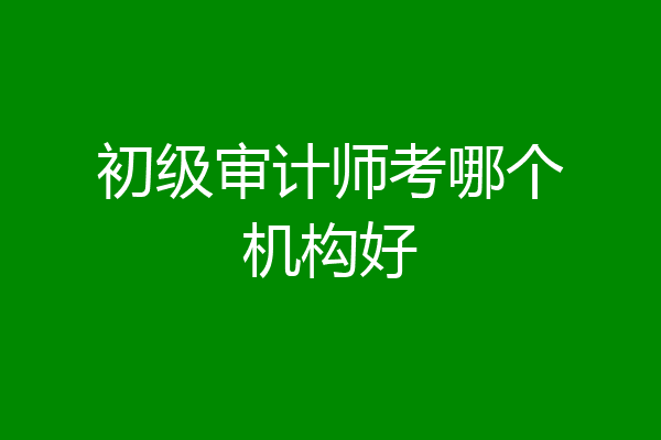 初级审计师考哪个机构好