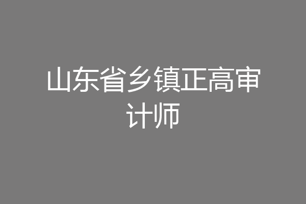 山东省乡镇正高审计师