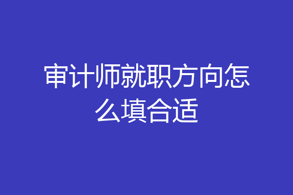 审计师就职方向怎么填合适