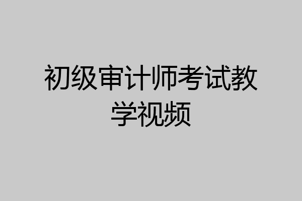 初级审计师考试教学视频