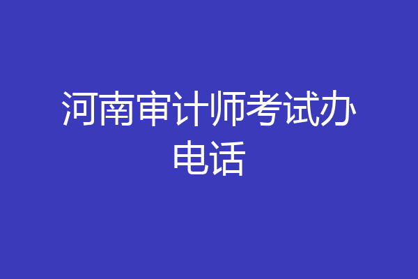 河南审计师考试办电话
