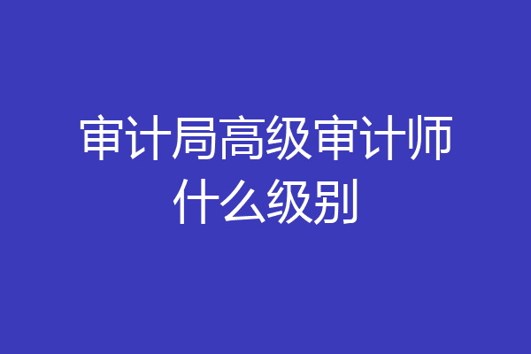 审计局高级审计师什么级别