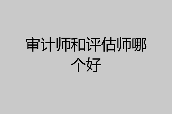审计师和评估师哪个好