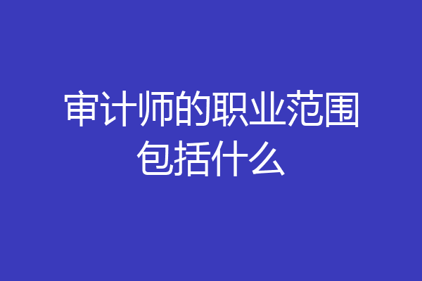 审计师的职业范围包括什么