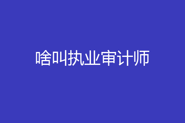 啥叫执业审计师