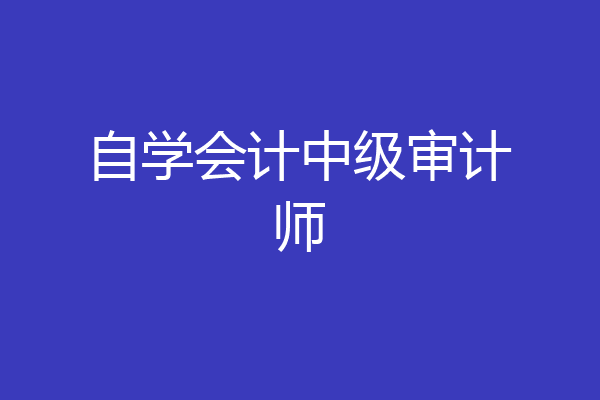 自学会计中级审计师