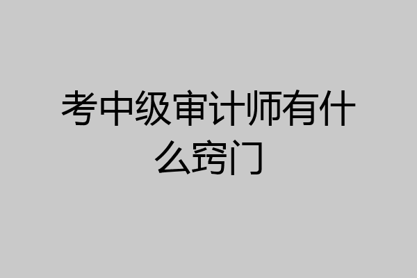 考中级审计师有什么窍门