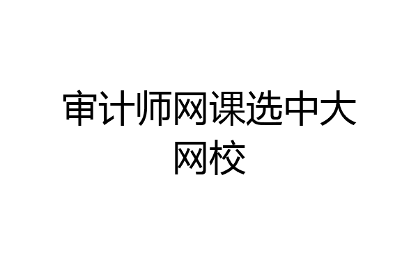 审计师网课选中大网校