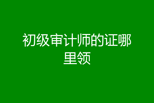 初级审计师的证哪里领