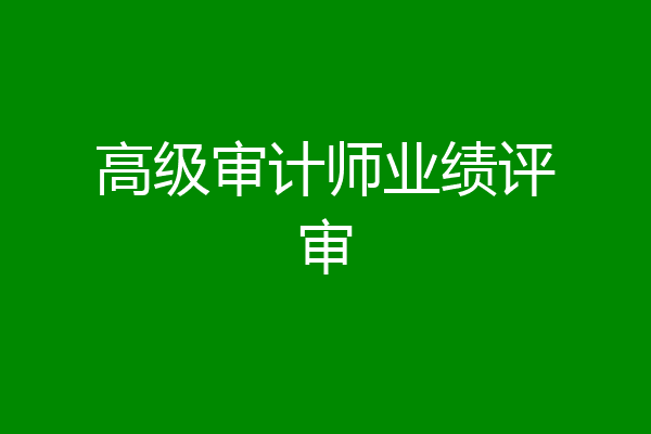 高级审计师业绩评审