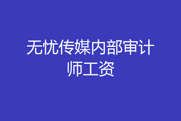 无忧传媒内部审计师工资