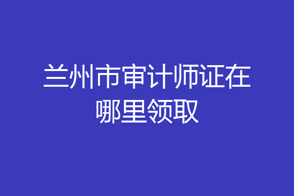兰州市审计师证在哪里领取