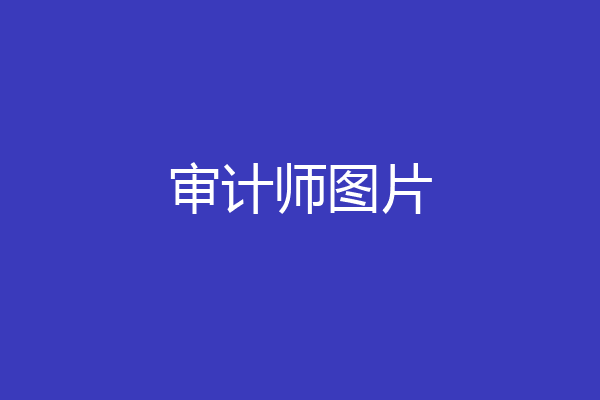 审计师图片