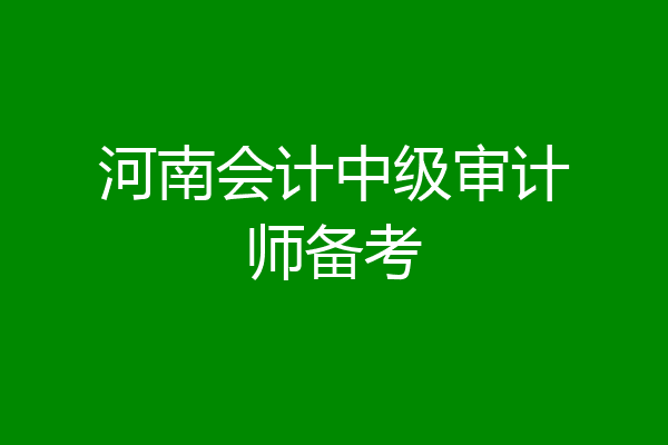 河南会计中级审计师备考