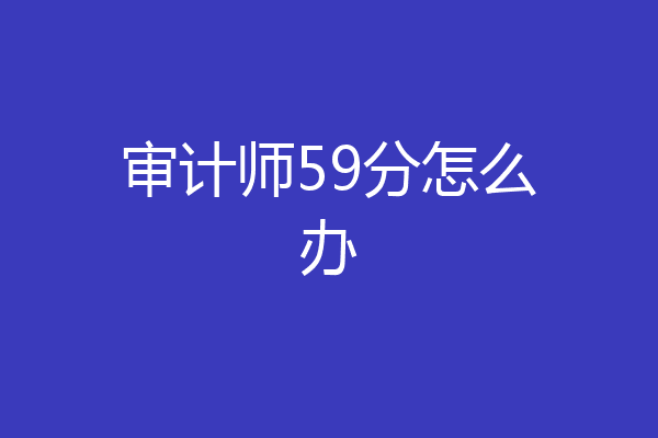审计师59分怎么办