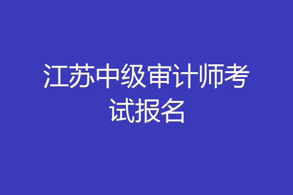 江苏中级审计师考试报名
