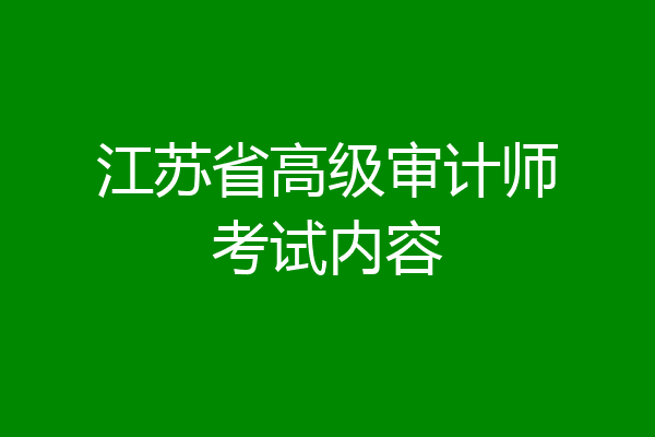 江苏省高级审计师考试内容