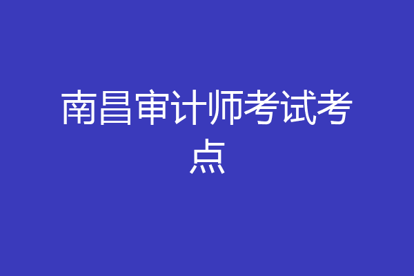 南昌审计师考试考点