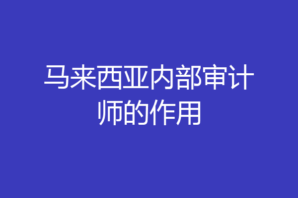 马来西亚内部审计师的作用