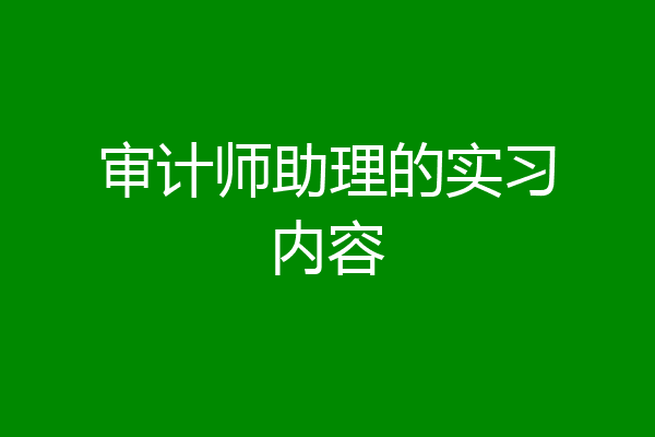 审计师助理的实习内容