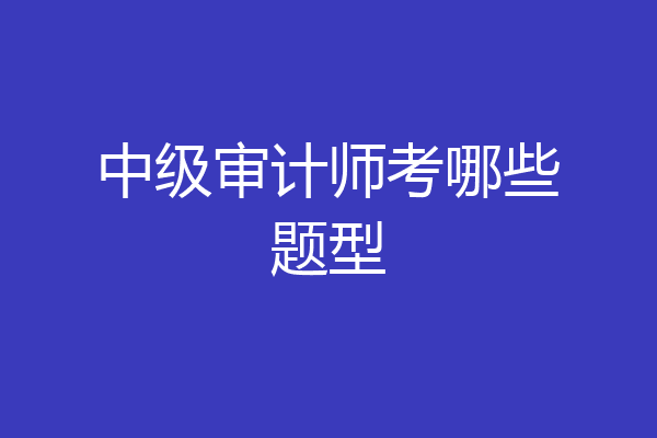 中级审计师考哪些题型