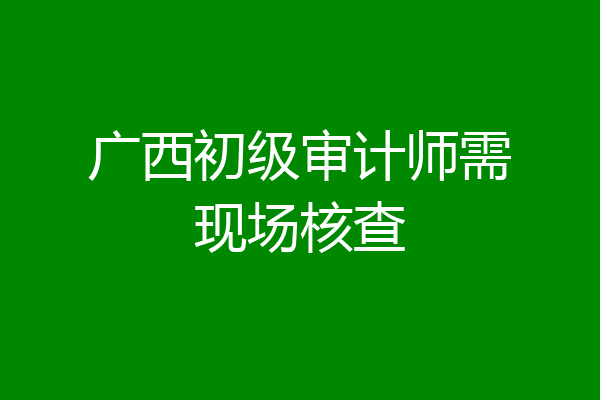 广西初级审计师需现场核查