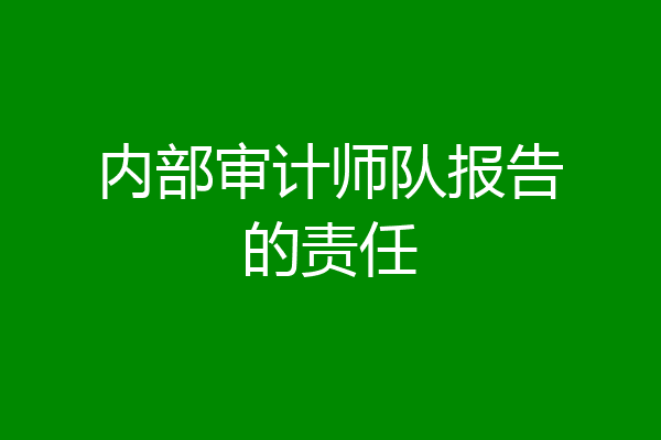 内部审计师队报告的责任