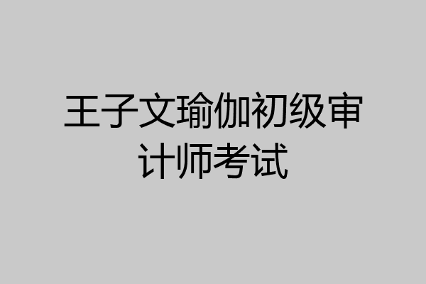 王子文瑜伽初级审计师考试