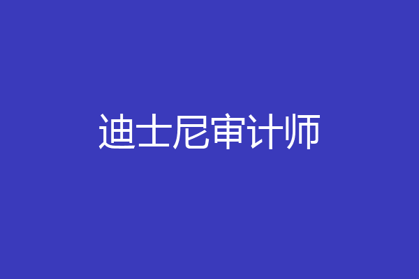 迪士尼审计师