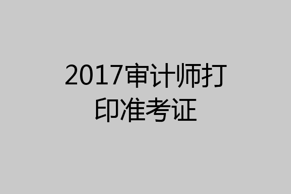 2017审计师打印准考证