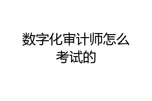 数字化审计师怎么考试的