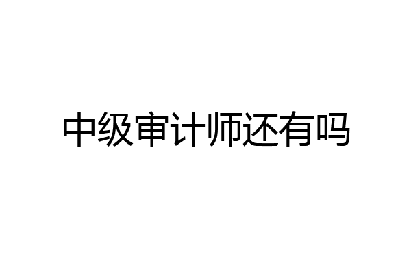 中级审计师还有吗