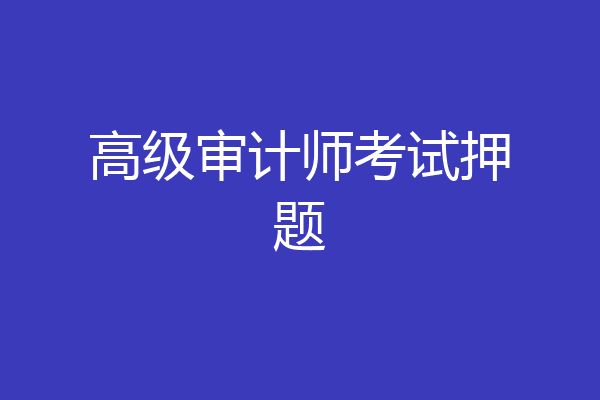 高级审计师考试押题