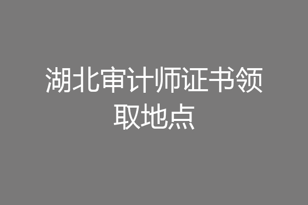 湖北审计师证书领取地点