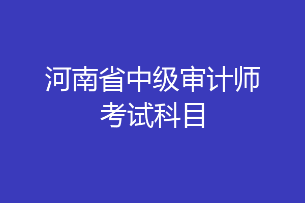 河南省中级审计师考试科目