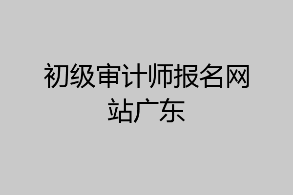 初级审计师报名网站广东