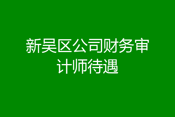 新吴区公司财务审计师待遇