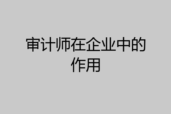 审计师在企业中的作用