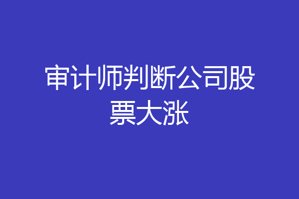 审计师判断公司股票大涨