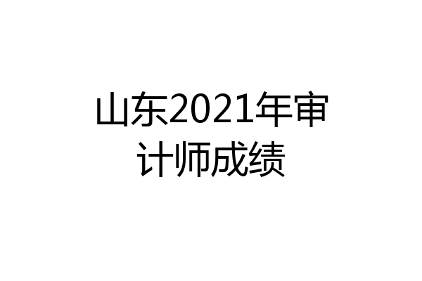 山东2021年审计师成绩